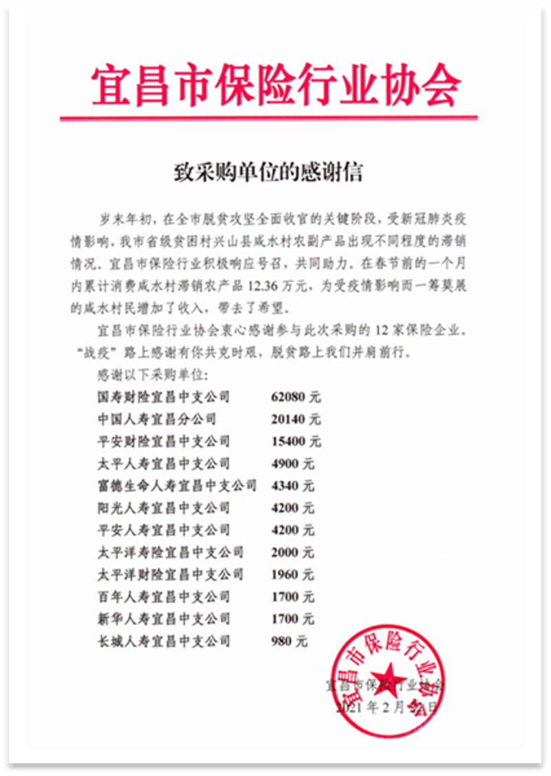 批发市场的数字化转型:综合商品批发行业的新风貌